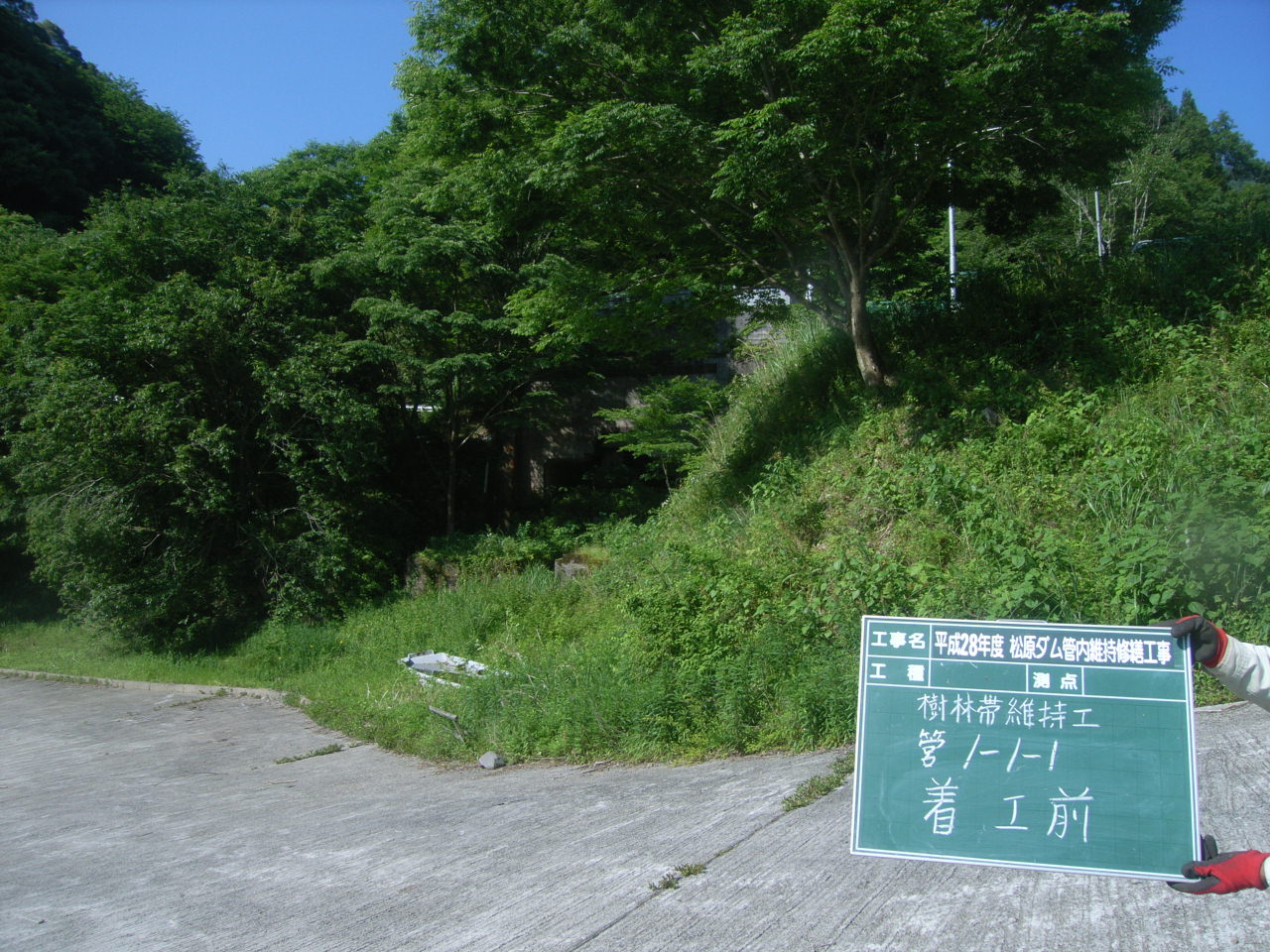 除草工　着工前